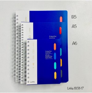 CADERNO. REF:A5-MJ-18311-17 CX96PÇS/SUB48PÇS-  MUL/24